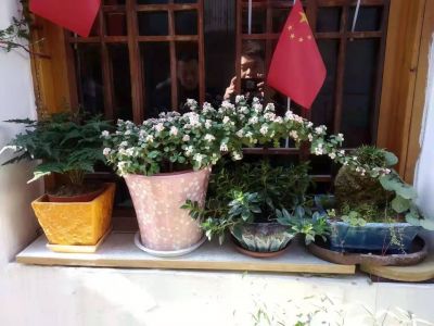 惯性除尘器